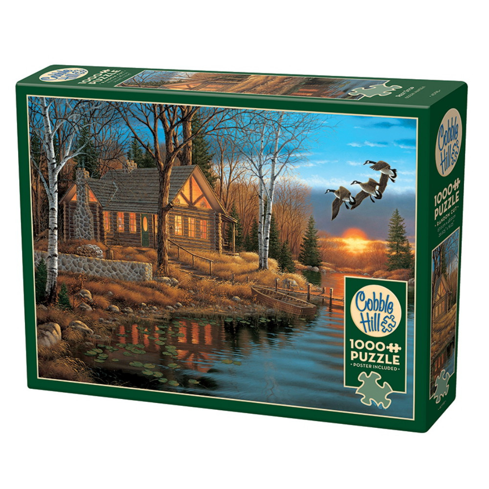 Cobble Hill Rest Stop 1000 Brikker