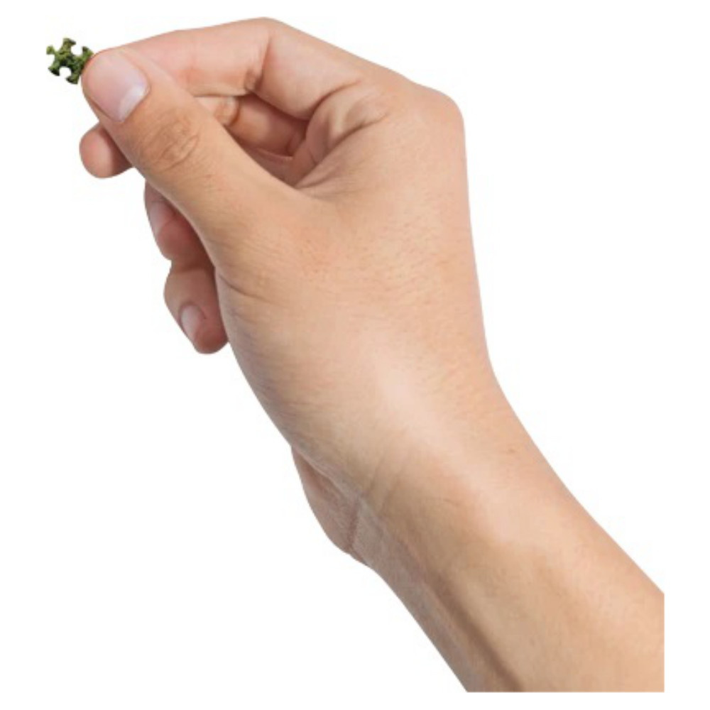 Verdens mindste puslespil: The Colosseum, Rome 1000 brikker