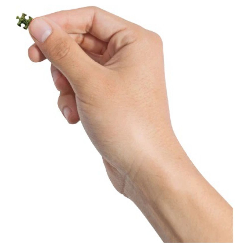 Verdens mindste puslespil: Dutch Windmills 1000 brikker