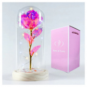 Rose of Love Pink Rose of Love Pink