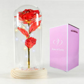 Rose of Love Red Rose of Love Red