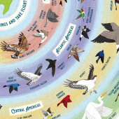 Ridley's - Bird Lover 1000 Brikker Ridley's - Bird Lover 1000 Brikker