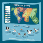 Ridley's - Bird Lover 1000 Brikker Ridley's - Bird Lover 1000 Brikker