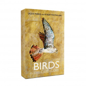 Birds: The Card Game Birds: The Card Game