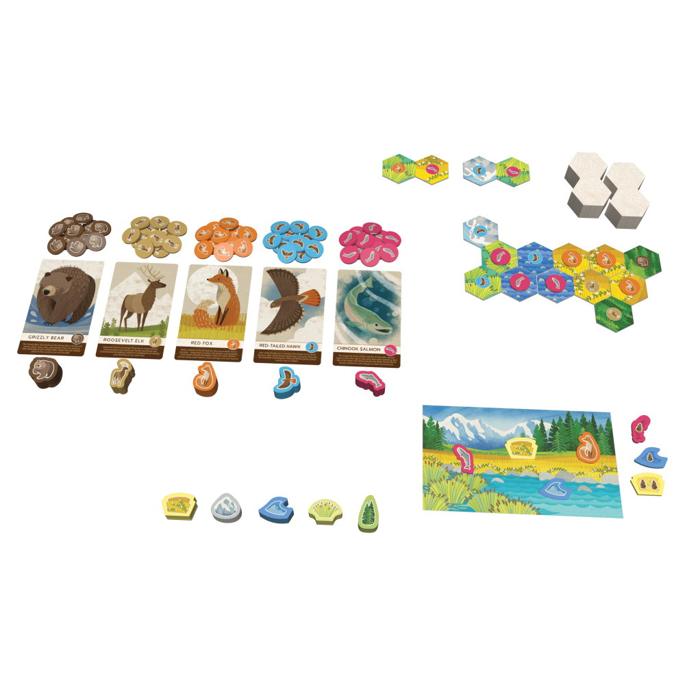 Cascadia Junior (DK)