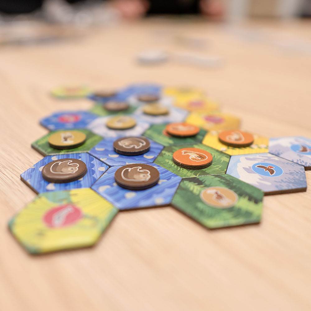 Cascadia Junior (DK)