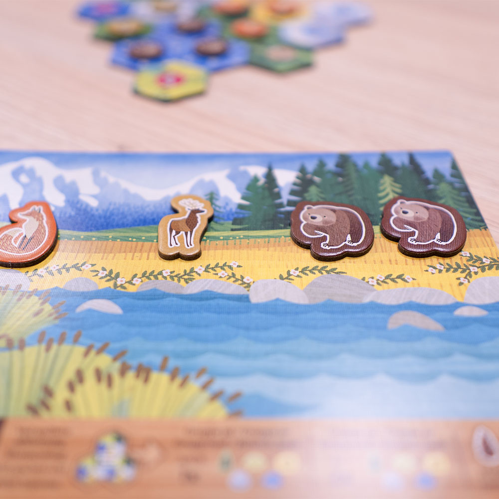 Cascadia Junior (DK)