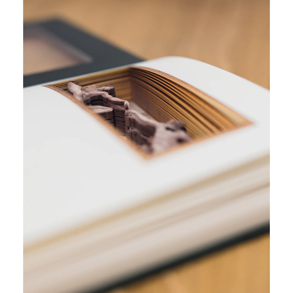 Cartartem Notebook - Creation of Adam