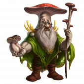 Gnome Kingdom Gnome Kingdom