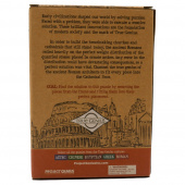 True Genius - Cathedral Door True Genius - Cathedral Door