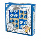 Professor Head Spinner's Sudoku Challenge