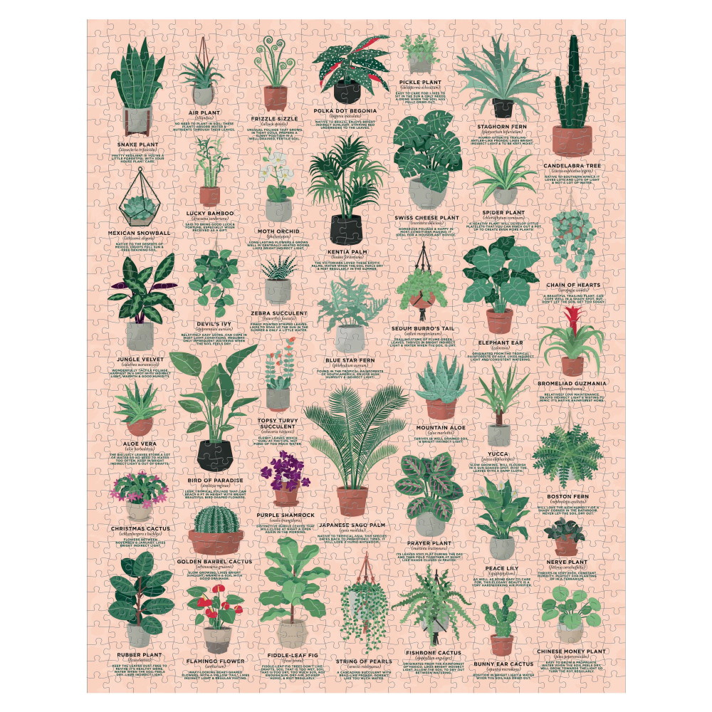 Ridley's - House Plants 1000 Brikker