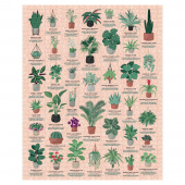 Ridley's - House Plants 1000 Brikker Ridley's - House Plants 1000 Brikker