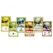 Fancy Feathers Fancy Feathers