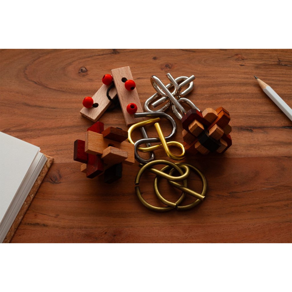 Brain Puzzle Set of 6