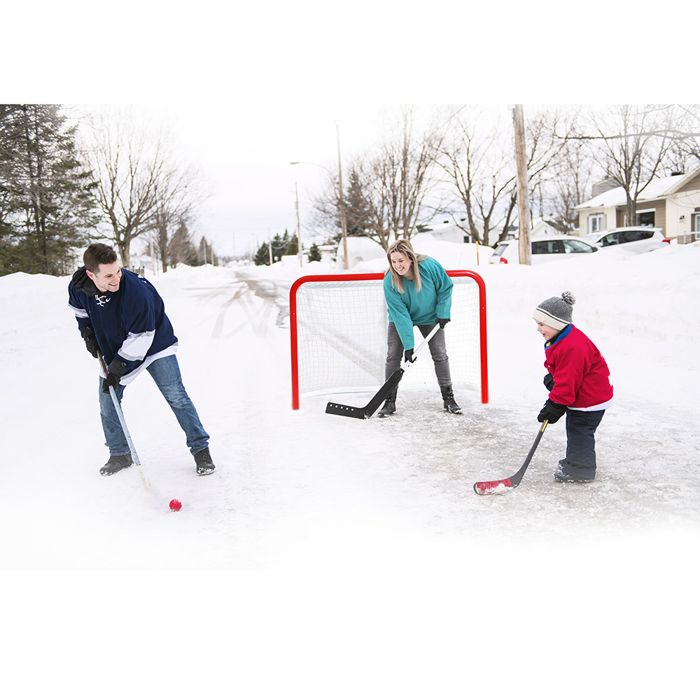 Street hockey goal Midsize