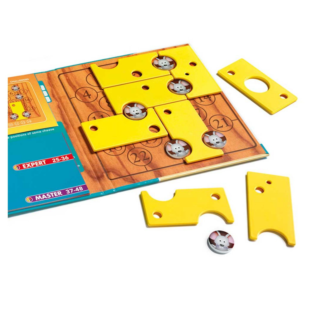 Brain Cheeser Magnetic Travel