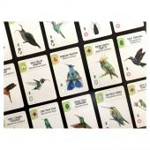 Wingspan: Americas Expansion (EN) Wingspan: Americas Expansion (EN)