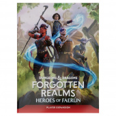 Dungeons & Dragons: Forgotten Realms - Heroes of Faerûn Dungeons & Dragons: Forgotten Realms - Heroes of Faerûn